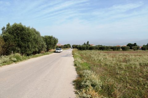 11600m² Land in Thermi, Greece No. 59391 7