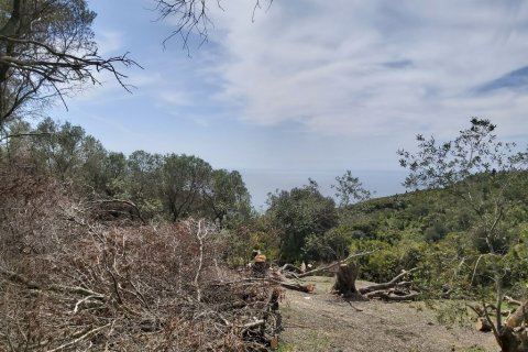 8000m² Land in Corfu, Greece No. 56030 9