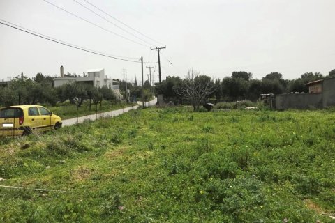 3266m² Land in Gazi, Greece No. 56043 1