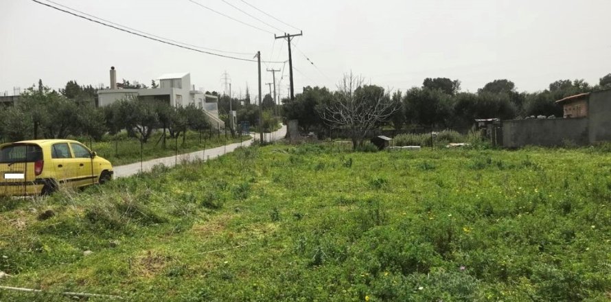 3266m² Land in Gazi, Greece No. 56043