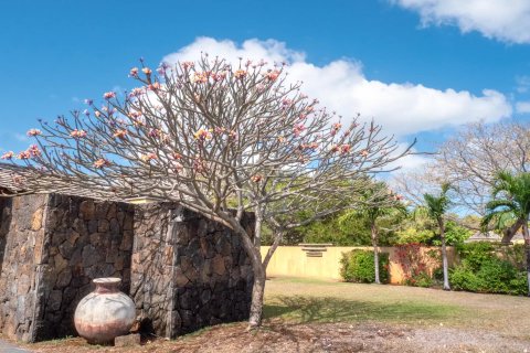 4 bedrooms Villa in Tamarin, Mauritius No. 53441 21