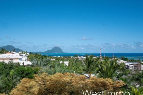 2 bedrooms Apartment in Tamarin, Mauritius No. 53397 20