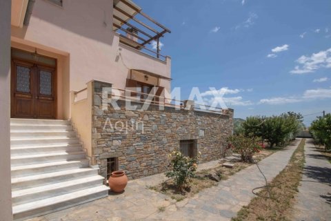 6 bedrooms House in Magnesia, Greece No. 24293 5