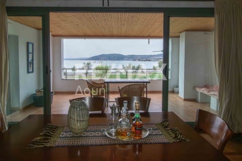 5 bedrooms Villa in Magnesia, Greece No. 24294 24