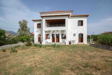 5 dormitorios Villa en Magnesia, Greece No. 24294 8