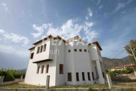 5 bedrooms Villa in Magnesia, Greece No. 24294 2