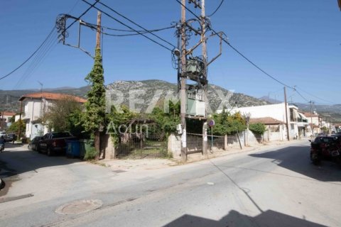 592m² Land in Magnesia, Greece No. 24281 16