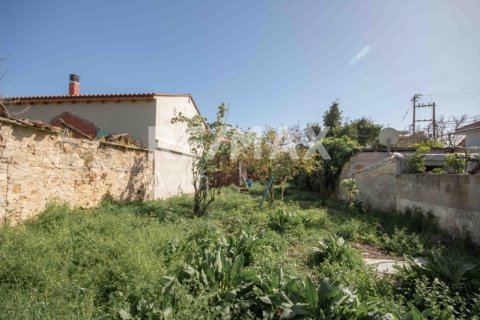 592m² Land in Magnesia, Greece No. 24281 13