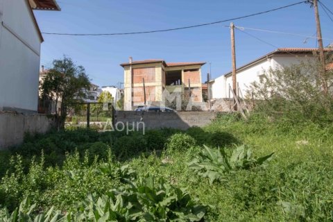 592m² Land in Magnesia, Greece No. 24281 12