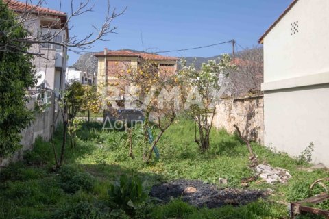 592m² Land in Magnesia, Greece No. 24281 10