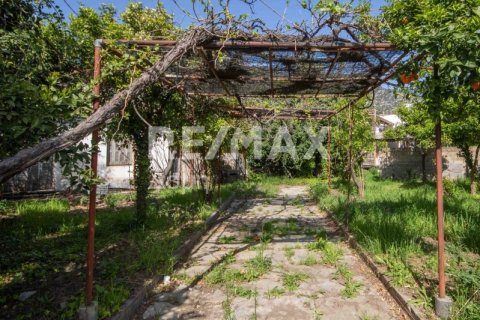 592m² Land in Magnesia, Greece No. 24281 22