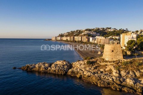 5 bedrooms Villa in Almunecar, Spain No. 26256 14