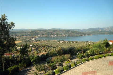 3 bedrooms Villa in Malesina, Greece No. 57237 4