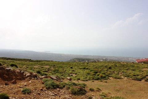 15000m² Land in Rethymno, Greece No. 59666 4