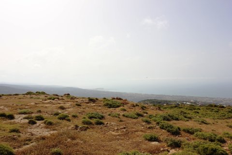 15000m² Land in Rethymno, Greece No. 59666 12