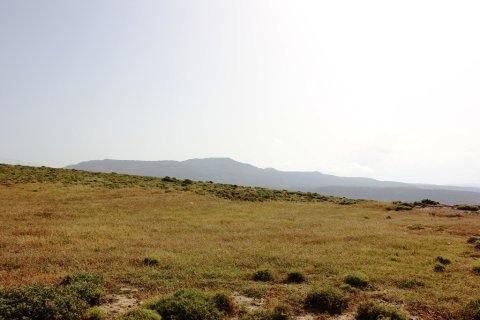 15000m² Land in Rethymno, Greece No. 59666 11