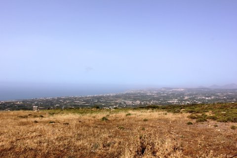 15000m² Land in Rethymno, Greece No. 59666 9