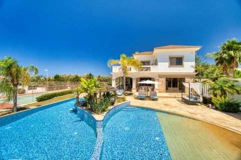 5 bedrooms Villa in Pegeia, Cyprus No. 66337 6