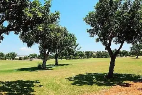 2800m² Land in Paphos, Cyprus No. 35733 5