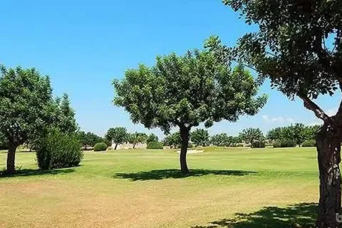 2800m² Land à Paphos, Cyprus No. 35733 4