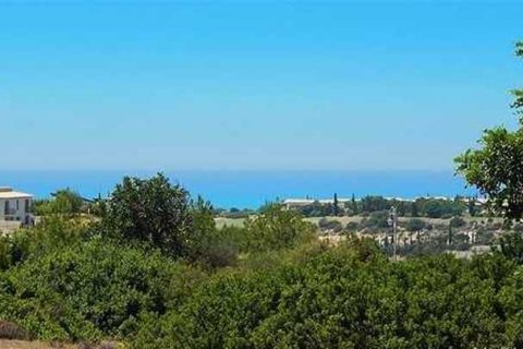 2800m² Land en Paphos, Cyprus No. 35733 2