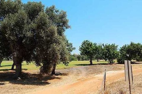 2800m² Land en Paphos, Cyprus No. 35733 6