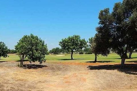 2800m² Land en Paphos, Cyprus No. 35733 1