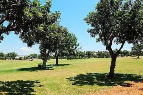 2800m² Land en Paphos, Cyprus No. 35733 5