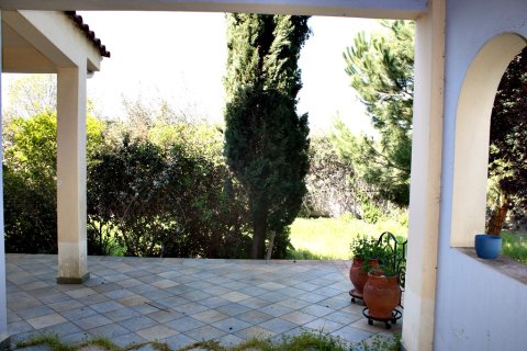 4 bedrooms Villa in Thermi, Greece No. 58208 13