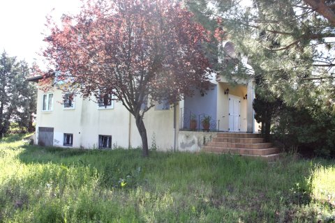 4 bedrooms Villa in Thermi, Greece No. 58208 6