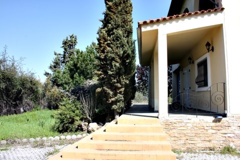 4 bedrooms Villa in Thermi, Greece No. 58208 10