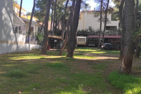 960m² Land à Drosia, Greece No. 56389 2