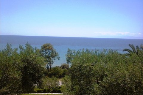 700m² Hotel in Chalkidiki, Greece No. 60271 3