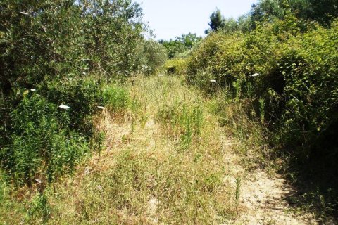 12250m² Land in Chalkidiki, Greece No. 60269 1