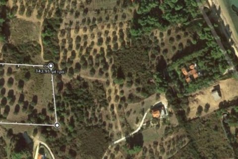 7000m² Land en Chalkidiki, Greece No. 56840 1