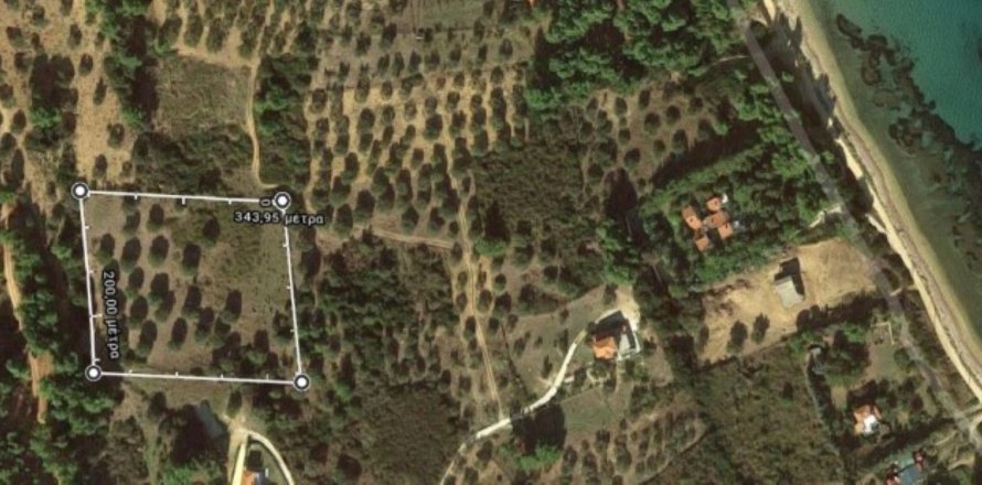 7000m² Land in Chalkidiki, Greece No. 56840