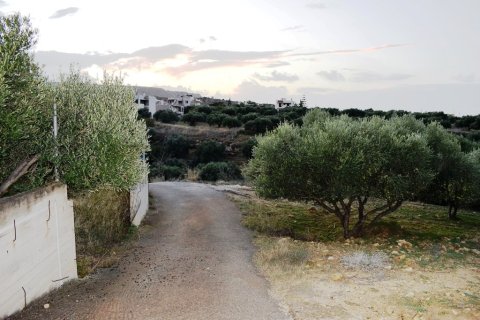 4500m² Land en Heraklion, Greece No. 56842 3