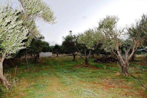 4500m² Land in Heraklion, Greece No. 56842 4