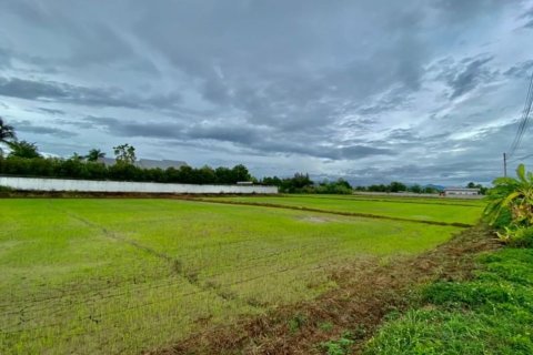 20 chambres Land à Chiang Mai, Thailand No. 2564 11