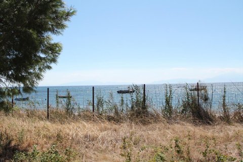 1800m² Land in Chalkidiki, Greece No. 60625 2