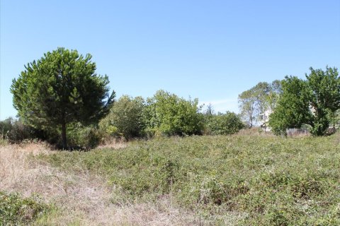 1800m² Land en Chalkidiki, Greece No. 60625 3