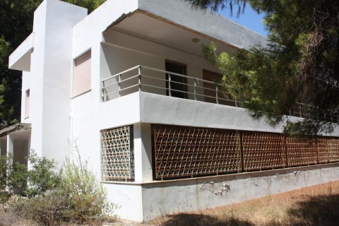 400m² Villa à Chalkidiki, Greece No. 60630 3