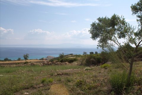 5060m² Land in Chalkidiki, Greece No. 60629 5