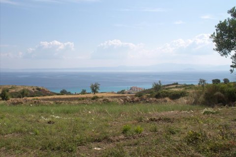 5060m² Land en Chalkidiki, Greece No. 60629 4