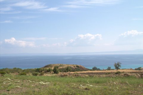 5060m² Land à Chalkidiki, Greece No. 60629 2