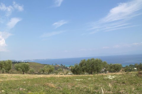 5060m² Land à Chalkidiki, Greece No. 60629 1