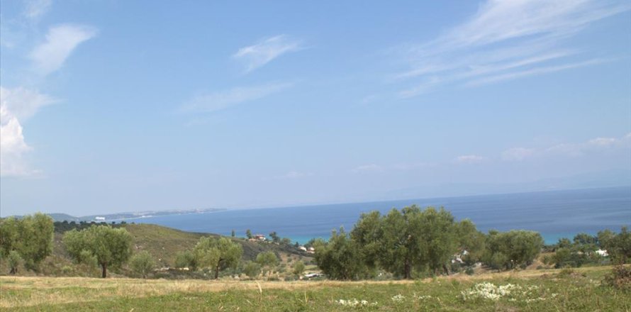 5060m² Land à Chalkidiki, Greece No. 60629