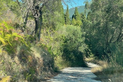 2569m² Land in Corfu, Greece No. 55306 22