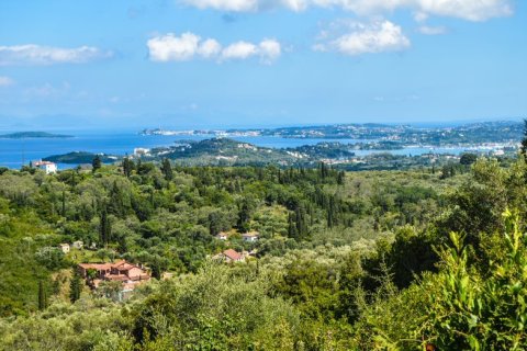 2569m² Land en Corfu, Greece No. 55306 2