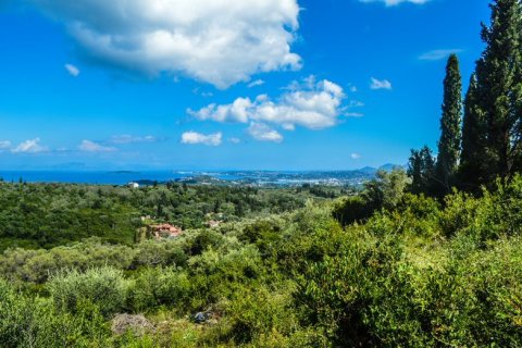 2569m² Land à Corfu, Greece No. 55306 4